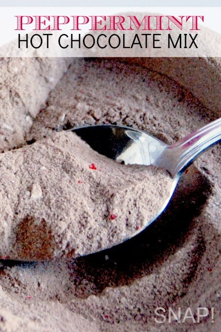 Peppermint-Hot-Chocolate-Mix-Recipe-via-SNAP-2 (1)