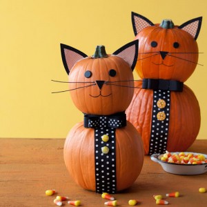 pumpkin tuxedo pussycat