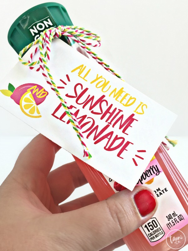 Free Printable Gift Labels & Tags - Summer Theme - Pretty Darn