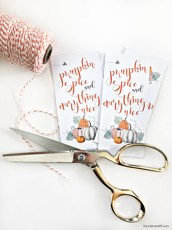 Pumpkin Spice & Everything Nice Tags, Printable Teacher